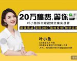 叶小鱼21天短视频文案拆书营,学完轻松搞定各类书单短视频文案-赚钱驿站