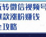 玩转微信视频号爆款涨粉赚钱全攻略，让你快速抓住流量风口，收获红利财富-赚钱驿站