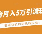 老古董·抖音月入5万引流玩法，看看老司机如何玩转抖音(附赠：抖音另类引流思路)-赚钱驿站