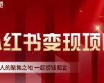 渣圈学苑·小红书虚拟资源变现项目，一起捞钱掘金价值1099元-赚钱驿站