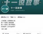 十一说故事·故事性中视频,观众快速共鸣从而快速变现的中视频玩法-赚钱驿站