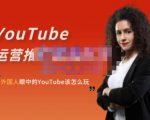外国人眼中的YouTube该怎么玩?Elisa·YouTube运营推广实战技巧-赚钱驿站