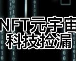 【元本空间sky七级空间唯一ibox幻藏等】NTF捡漏合集【抢购脚本+教程】-赚钱驿站