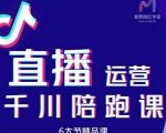美尊-抖音直播运营千川系统课:直播运营规划、起号、主播培养、千川投放等-赚钱驿站
