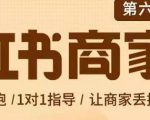 贾真-小红书商家营第6期商家版,21天带货陪跑课,让商家丢掉付流量-赚钱驿站