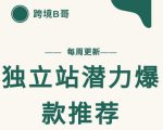 【跨境B哥】独立站潜力爆款选品推荐,测款出单率高达百分之80-赚钱驿站