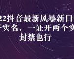 2022抖音最新风暴新口子:多开实名,一整开两个实名,封禁也行-赚钱驿站