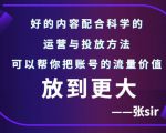 张sir账号流量增长课,告别海王流量,让你的流量更精准-赚钱驿站
