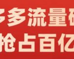 阿杰·拼多多流量破局:如何打黑标,爆款的思路,拼多多流量框架,快速抢占百亿流量-赚钱驿站