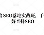 王通·抖音SEO落地实战班,手手带你做好音抖SEO-赚钱驿站
