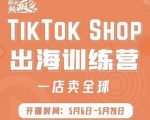 疯人院:TikTok Shop出海训练营(一店卖全球),出海抢占全球新流量-赚钱驿站