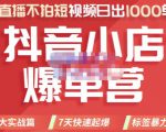 推易电商·2022年抖音小店爆单营,不直播、不拍短视频、日出1000单,暴力玩法-赚钱驿站