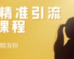 soul精准引流系列课程,每天引流100精准粉-赚钱驿站