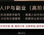 一舟一课个人IP与副业(高阶版),短视频和直播新手起号-普通人如何做好个人IP-赚钱驿站