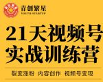 张萌21天视频号实战训练营,裂变涨粉、内容创作、视频号变现 价值298元-赚钱驿站