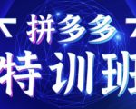 星雪教育·拼多多基础班+进阶班+突破班,用系统的学习模式快速改变现状价值3580元-赚钱驿站