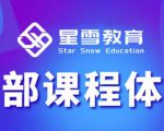 星雪教育淘系高级班,更全的运营提升方案,零基础由浅入深,店铺最新玩法-赚钱驿站