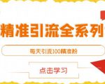 闲鱼精准引流全系列课程,每天引流100精准粉【视频课程】-赚钱驿站