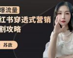 苏歆:小红书穿透式营销收割攻略,引爆流量,助你玩转小红书-赚钱驿站