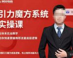 阿呆-引力魔方系统实操课，全体系实战教学，助你快速掌握推荐流量底层逻辑-赚钱驿站