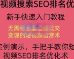 宋老师·短视频搜索SEO优化，教你10分钟创作一个短视频，三天排名上第一-赚钱驿站