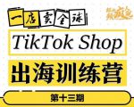TikTokShop出海训练营(第十三期),打开全球流量新思维,出海抢占全球新流量,一店卖全球-赚钱驿站
