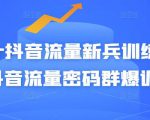 Peter抖音流量新兵训练营-破解抖音流量密码群爆训练营(新兵)-赚钱驿站
