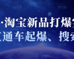凌童·淘宝新品打爆实战班,直通车起爆、搜索起爆-赚钱驿站