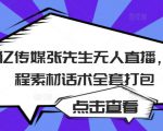 聚亿传媒张先生无人直播,教程素材话术全套打包-赚钱驿站