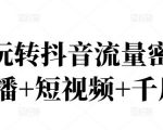 2022玩转抖音流量密码,(直播+短视频+千川)-赚钱驿站
