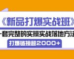 凌童《新品打爆实战班》,一套完整的实操实战落地方法，打爆链接超2000+（28节课)-赚钱驿站