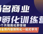 杨名商业IP孵化训练营,从商业到内容到转化一站式学 价值5980元-赚钱驿站