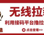 最新接码无限拉新项目,利用接码平台赚拉新平台差价,轻松日赚500+-赚钱驿站