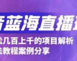 抖音最新蓝海直播玩法，3分钟赚30元，一天轻松1000+，只要你去直播就行【详细玩法教程】-赚钱驿站