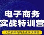 民赛电气内部出品：电子商务实战特训营，全方位带你入门电商，308种方式玩转电商-赚钱驿站