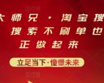 电商大师兄·淘宝搜索新玩法，搜索不刷单也能真正做起来-赚钱驿站