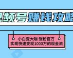 玩转微信视频号赚钱:小白变大咖涨粉百万实现快速变现1000万的现金流-赚钱驿站