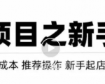 虚拟项目快速起店模式,0成本打造月入几万虚拟店铺!-赚钱驿站