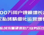 8000万用户规模增长方法论私域精细化运营增长，私域流量硬课助力业务跃迁-赚钱驿站