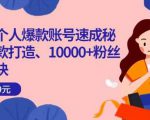 小红书个人爆款账号速成秘籍，爆款打造、10000+粉丝引流秘诀-赚钱驿站