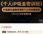 个人IP吸金密训班,打造高价值高效率的个人IP内容体系(价值12800元)-赚钱驿站