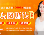 全网千万人气导师亲授：零基础/易上手的朋友圈赚钱攻略，让你轻松月入过万-赚钱驿站