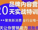 《内容营销实操特训营》20天让你营销能力脱胎换骨(价值3999)-赚钱驿站