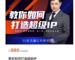 教你如何打造超级IP，抖音流量红利新机遇（价值980元）-赚钱驿站