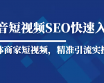 抖音短视频Seo搜索排名优化新手快速入门教程,实体商家短视频,精准引流实操课-赚钱驿站