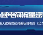私域电商流量密码:千万级大佬教您如何做私域电商(12节课)-赚钱驿站