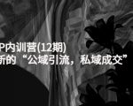 新媒体IP内训营(12期),一套全新的“公域引流,私域成交”IP打法,直接带走-赚钱驿站
