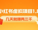 《小红书虚拟项目1.0》账号注册+养号+视频制作+引流+变现，几天就赚两三千-赚钱驿站