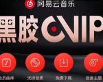 网易云音乐撸黑胶年卡及变现方法,收益可无限放大-赚钱驿站