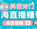最新抖音冷门简单的蓝海直播赚钱玩法,流量大知道的人少,可做到全无人直播-赚钱驿站